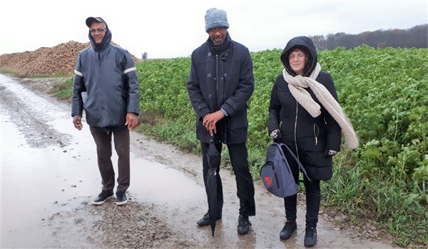 En marche vers Noël...