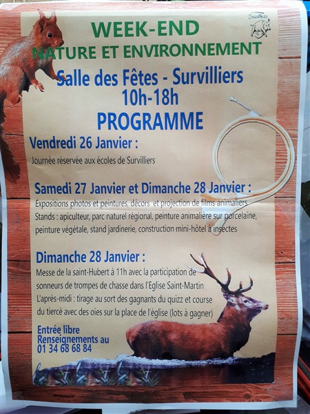 Nature, écologie : l